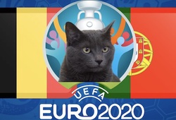Mèo tiên tri dự đoán bóng đá EURO hôm nay 27/6: Bỉ vs Bồ Đào Nha