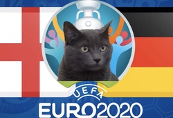 Mèo tiên tri dự đoán bóng đá EURO hôm nay 29/06: Anh vs Đức