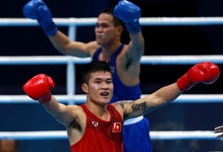 Thành tích đội tuyển Boxing Việt Nam tại các kỳ SEA Games