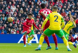Nhận định Liverpool vs Norwich: Kết quả dễ đoán
