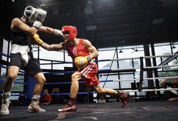Tuyển boxing Việt Nam cọ xát với các võ sĩ đến từ Hàn Quốc và Brazil