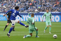 Dự đoán kết quả Schalke vs Hoffenheim: Chia điểm tại Veltins Arena
