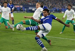 Nhận định, soi kèo Werder Bremen vs Schalke: Đi dễ khó về