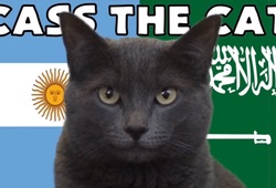 Mèo tiên tri dự đoán Argentina vs Saudi Arabia, 17h ngày 22/11