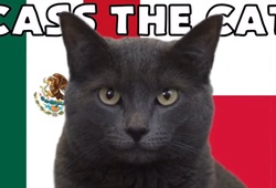 Mèo tiên tri dự đoán Ba Lan vs Mexico, 23h ngày 22/11