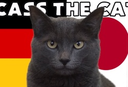 Mèo tiên tri dự đoán Đức vs Nhật Bản, 20h ngày 23/11