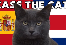 Mèo tiên tri dự đoán Tây Ban Nha vs Costa Rica, 23h ngày 23/11