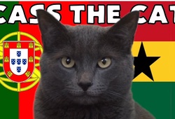 Mèo tiên tri dự đoán Bồ Đào Nha vs Ghana, 23h ngày 24/11