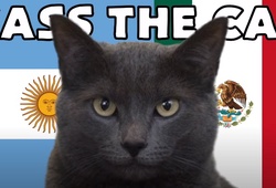 Mèo tiên tri dự đoán Argentina vs Mexico, 2h ngày 26/11