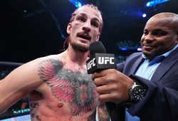 Sean O'Malley "vùi mình vào grappling": UFC hãy cho Cejudo và Sterling đánh trước