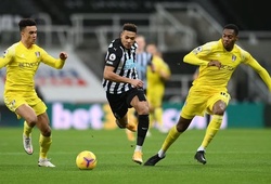 Nhận định, soi kèo Newcastle vs Fulham: Tiếp tục rơi điểm