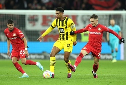 Nhận định Leverkusen vs Saint Gilloise: Giải mã hiện tượng