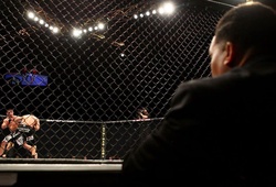Luật thi đấu MMA chấm điểm các võ sĩ theo tiêu chí nào?