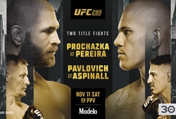 Xem trực tiếp UFC 295: Jiri Prochazka vs Alex Pereira ở đâu, kênh nào?