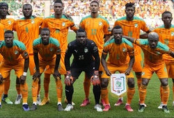 Đội hình tuyển Bờ Biển Ngà 2024: Danh sách cầu thủ dự Cúp châu Phi 2023