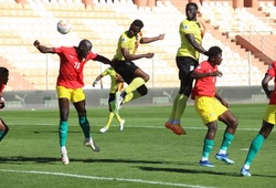 Dự đoán Cameroon vs Guinea, 0h00 ngày 16/1, Cúp châu Phi