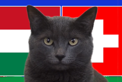 Mèo tiên tri dự đoán Hungary vs Thụy Sĩ, 20h ngày 15/6, Euro 2024