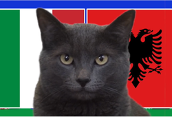 Mèo tiên tri dự đoán Italia vs Albania, 2h ngày 16/6, Euro 2024