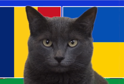 Mèo tiên tri dự đoán Romania vs Ukraine, 20h ngày 17/6, Euro 2024