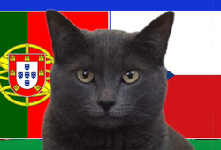 Mèo tiên tri dự đoán Bồ Đào Nha vs Séc, 2h ngày 19/6, Euro 2024