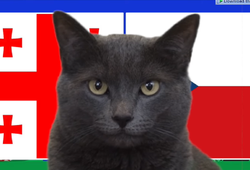 Mèo tiên tri dự đoán Georgia vs Séc, 20h ngày 22/6, Euro 224