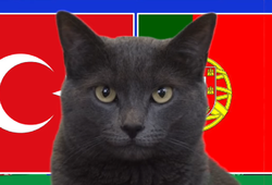 Mèo tiên tri dự đoán Thổ Nhĩ Kỳ vs Bồ Đào Nha, 23h ngày 22/6, Euro 2024