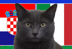 Mèo tiên tri dự đoán Croatia vs Italia, 2h ngày 24/6, Euro 2024