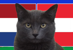 Mèo tiên tri dự đoán Hà Lan vs Áo, 23h ngày 25/6, Euro 2024