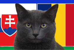 Mèo tiên tri dự đoán Slovakia vs Romania, 23h ngày 26/6, Euro2024