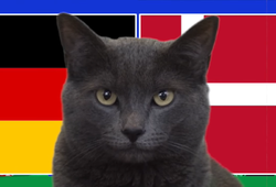Mèo tiên tri dự đoán Đức vs Đan Mạch, 2h ngày 30/6, Euro 2024