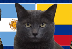 Mèo tiên tri dự đoán Argentina vs Colombia, 7h ngày 15/7, Copa America