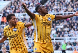 Dự đoán Brighton vs Wolves, 21h00 ngày 26/10, Ngoại hạng Anh 2024/25