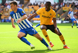 Nhận định bóng đá Brighton vs Wolves: Tiếp cận top 2