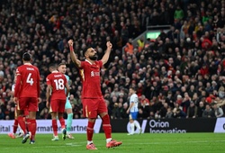 Tỷ lệ bóng đá trận Liverpool vs Leverkusen, 3h00 ngày 6/11, Cúp C1 châu Âu