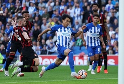 Tỷ lệ bóng đá trận Brighton vs Bournemouth, 2h30 ngày 26/2, Ngoại hạng Anh