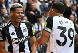 Dự đoán Brighton vs Newcastle, 20h00 ngày 4/5, Ngoại hạng Anh 2024/25