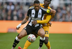 Nhận định bóng đá Brighton vs Newcastle: Đảm bảo top 3