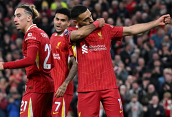 Nhận định bóng đá Brighton vs Liverpool: Đứt mạch đối đầu ấn tượng