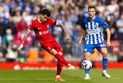 Tỷ lệ bóng đá trận Brighton vs Liverpool, 2h00 ngày 20/5, Ngoại hạng Anh