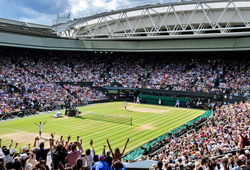 Lịch thi đấu Wimbledon 2025 mới nhất