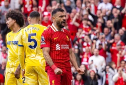 Xem trực tiếp trận Siêu cúp Anh giữa Liverpool và Crystal Palace ở kênh nào?