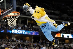 Mascot lương cao nhất NBA bất ngờ khởi kiện Denver Nuggets vì “không có tình người”