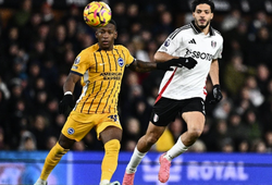 Nhận định, soi kèo Brighton vs Fulham: Chim mòng biển bay cao