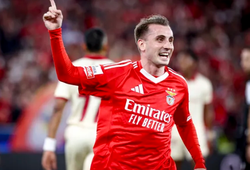 Nhận định, soi kèo Benfica vs Fenerbahce: Điểm tựa sân nhà