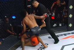 Tranh cãi về quyết định trọng tài tại giải MMA Brazil 132 sau cú knockout kinh hoàng