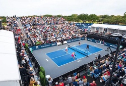 Hệ thống giải đấu Pickleball thế giới: Từ đỉnh cao chuyên nghiệp đến sân chơi cộng đồng