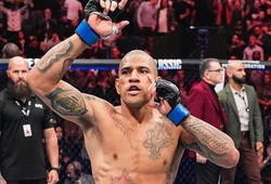 Alex Pereira phục thù thành công, hạ gục Magomed Ankalaev ngay hiệp 1 tại UFC 320