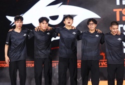 Đội hình Team Secret Whales: Niềm hy vọng của VCS tại CKTG 2025