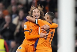 Hà Lan giành vé dự World Cup 2026 với thành tích bất bại