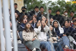 Trực tiếp giải bóng đá sinh viên toàn quốc 2025 Cúp TV360 ngày 20/11